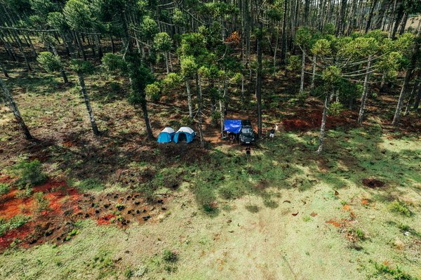 Voyage en Thaïlande : Explorez ses trésors et ses cultures